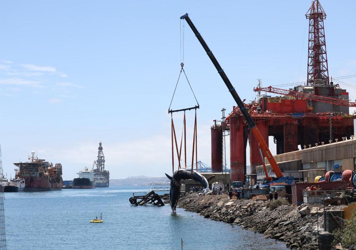 Imagen principal - Secuencia del rescate. 