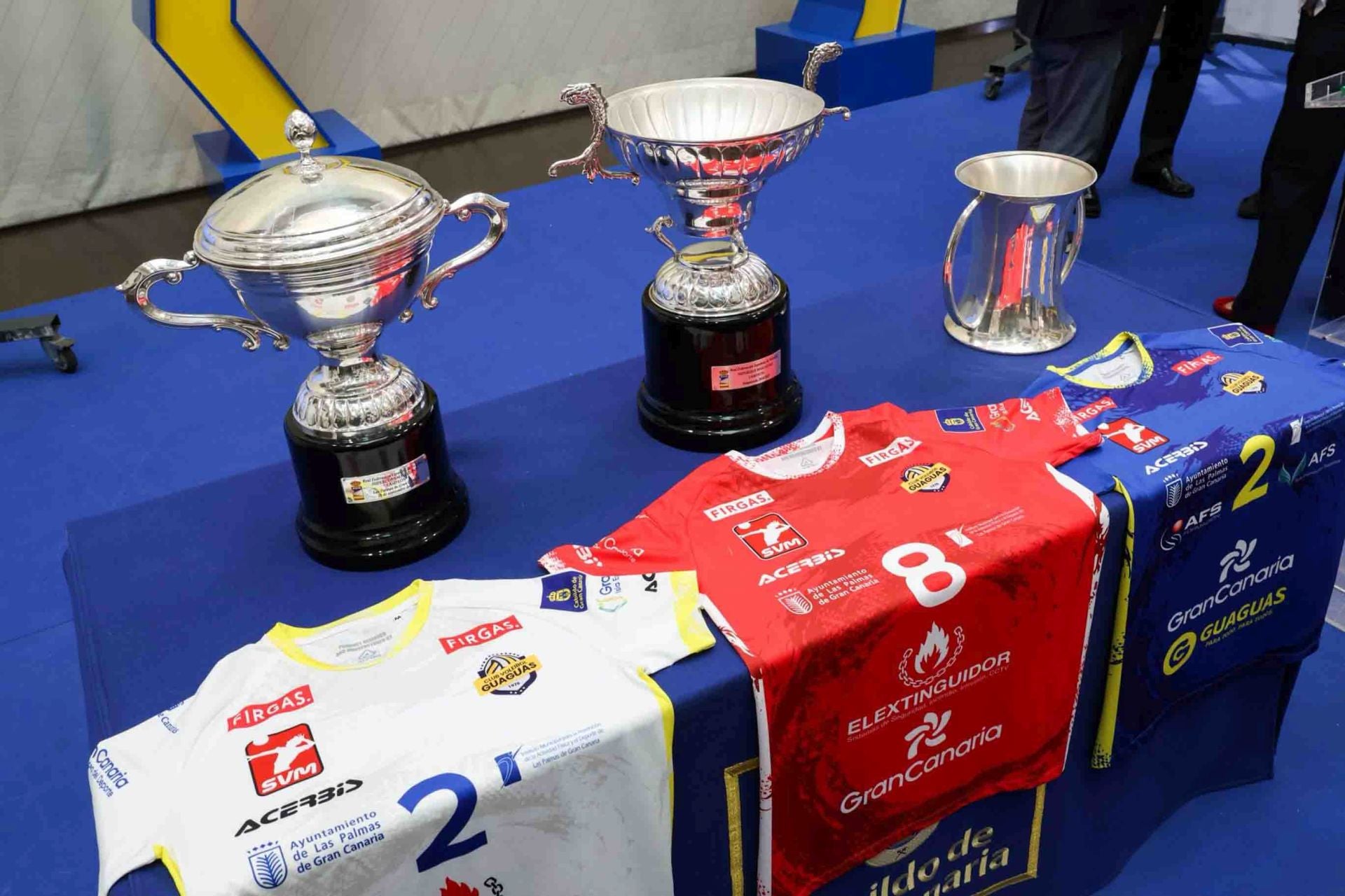 La recepción del guaguas en el Cabildo de Gran Canaria, en imágenes