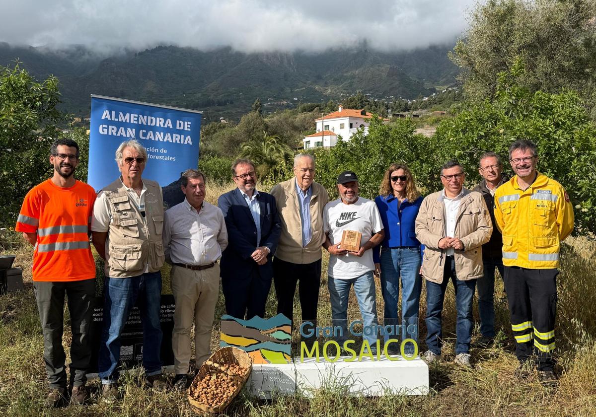 La distinción Gran Canaria Mosaico reconoce a los almendreros