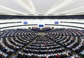 ASPROCAN valora muy positivamente el respaldo del Parlamento Europeo al refuerzo del POSEI para las regiones ultraperiféricas