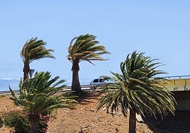 Rachas de viento y lluvia: Canarias espera temporal este fin de semana