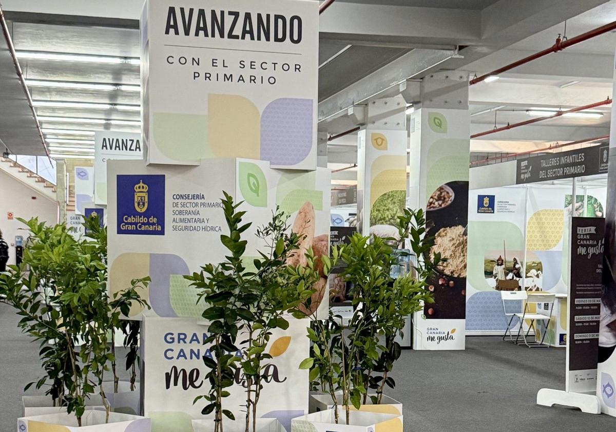 Imagen principal - Expositores del pabellón del sector primario