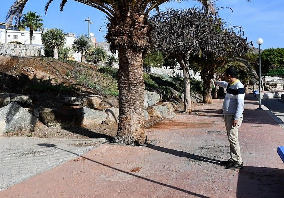 El edil de Obras, Ernesto Hernández, señalando el lugar dónde irá el velatorio.