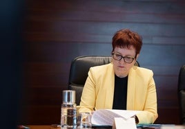 Candelaria Delgado en un momento durante el Consejo de Gobierno de este lunes.