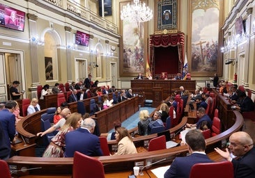 Gobierno y Vox se unen por las licencias de obra y PSOE y NC creen se favorece «el negocio»