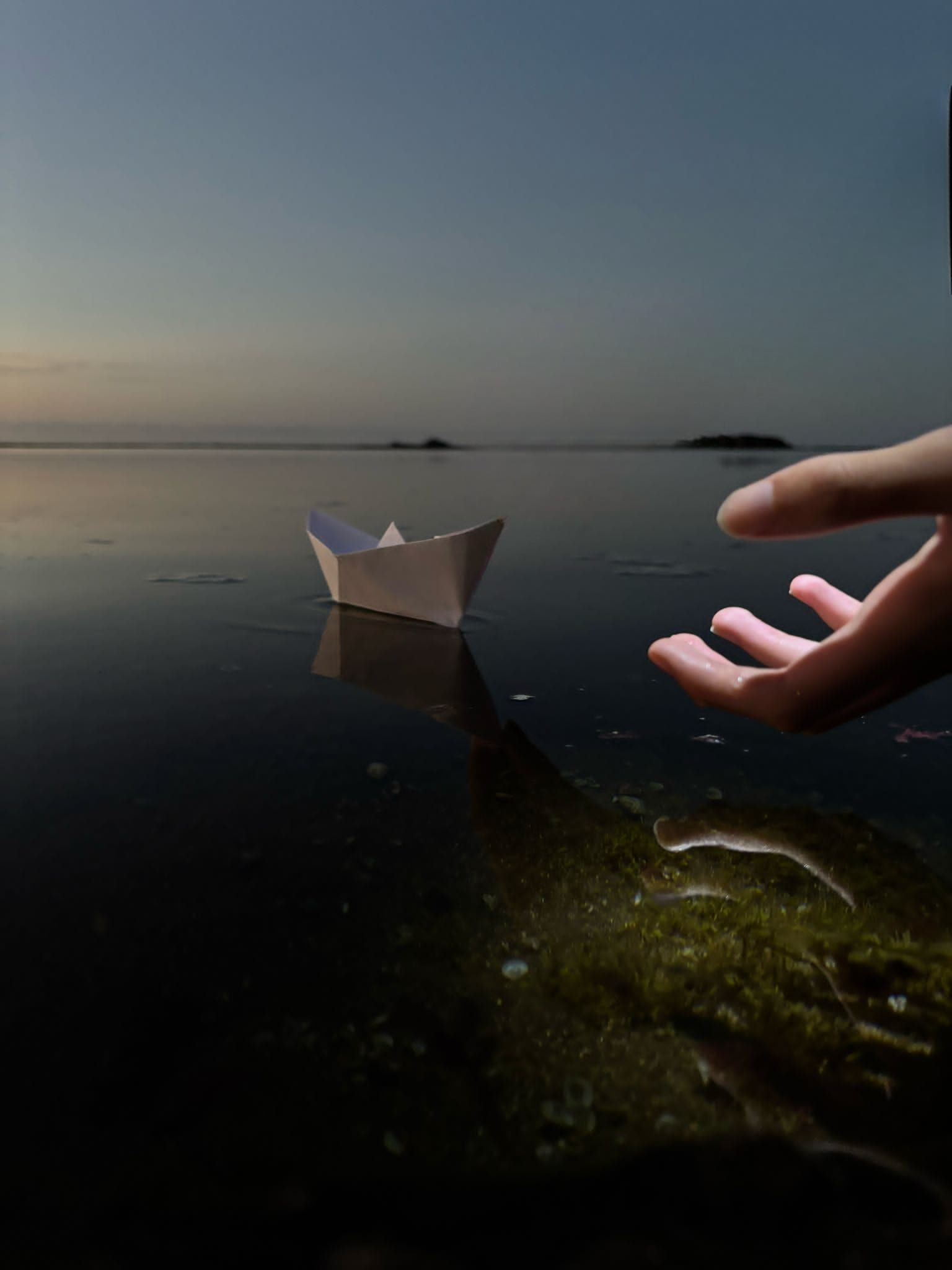 Acogida es la fotografía ganadora en el certamen.