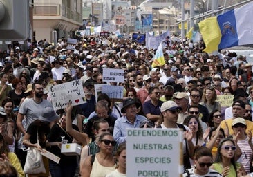 «Introducir ahora la tasa turística en el debate tiene el objetivo de desmovilizar y despistar»