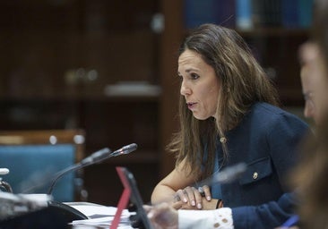 De León: «Comparto algunas reflexiones del 18M, pero no el demonizar al turista y al empresario»
