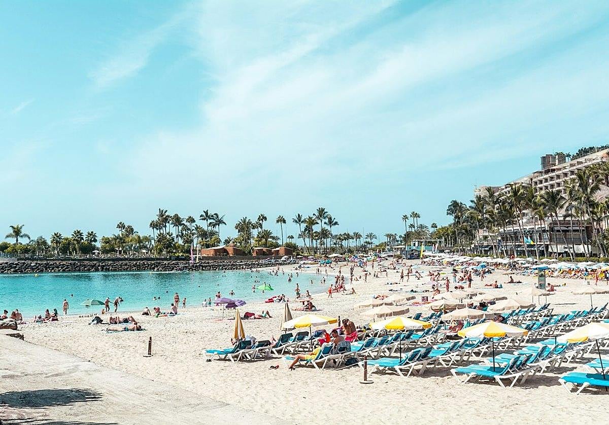 Descubre las Islas Canarias a un precio único