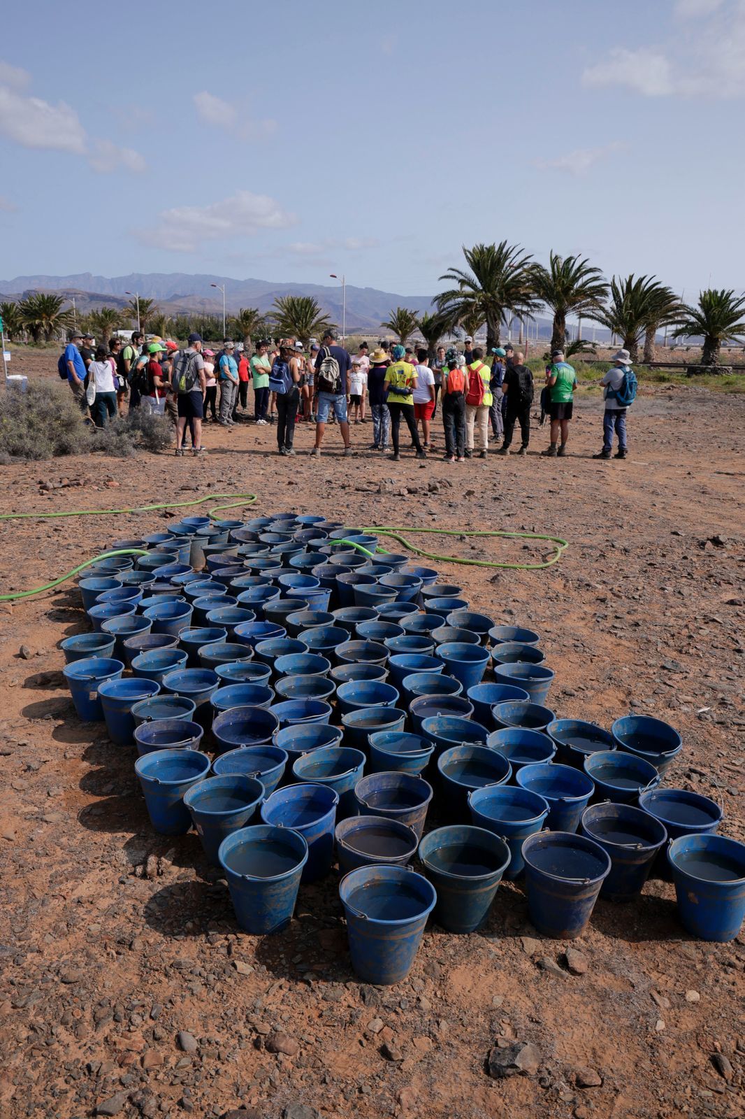 Jornada verde: imágenes de la reforestación con voluntarios en Gran Canaria