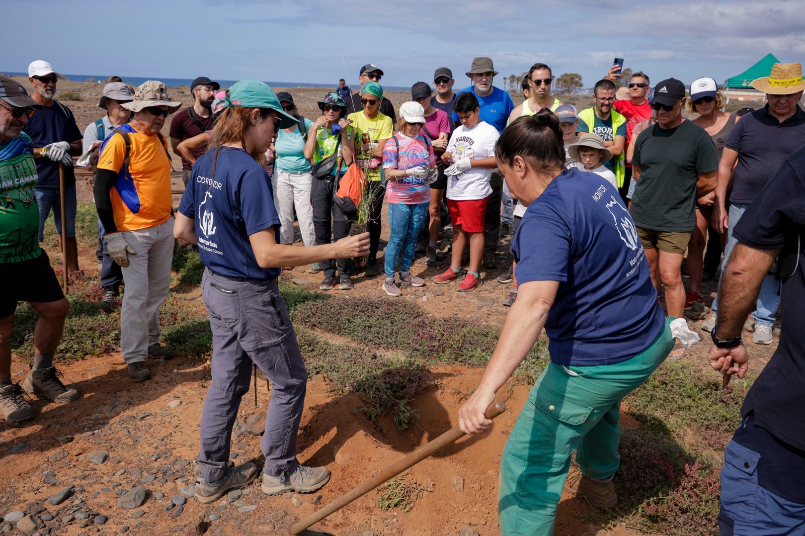 Jornada verde: imágenes de la reforestación con voluntarios en Gran Canaria