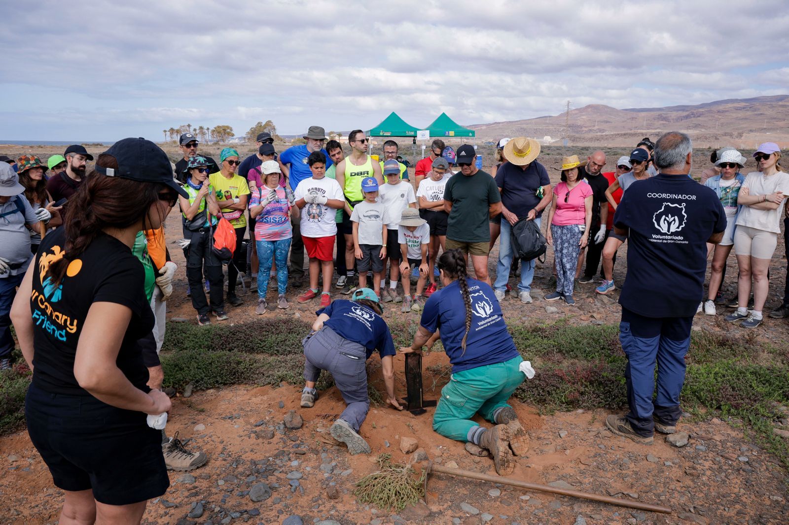 Jornada verde: imágenes de la reforestación con voluntarios en Gran Canaria