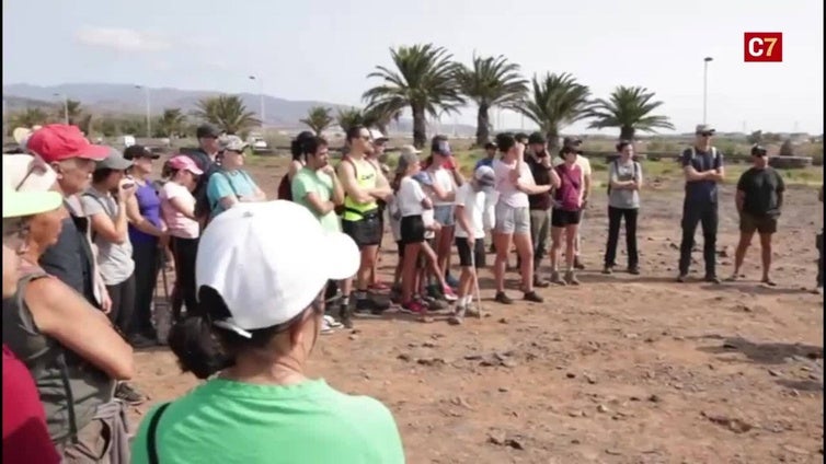 Manos que siembra futuro: voluntarios reforestan Gran Canaria