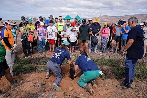 Distintos momentos de la primera iniciativa, en Juncalillo del Sur, del programa de Voluntariado Ambiental del Cabildo y Foresta.
