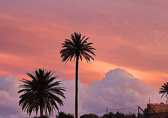 Canarias se despide del fin de semana con nubes y posibles lluvias débiles en el norte