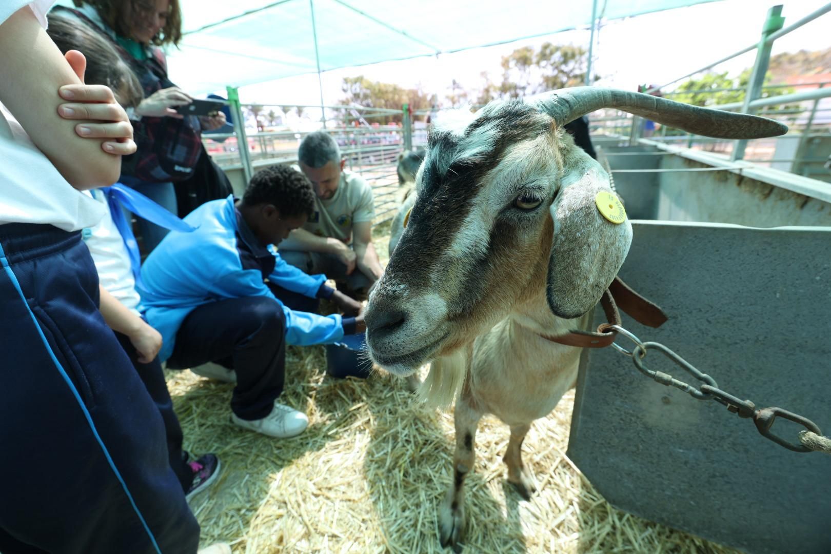 El sector primario se abre a los niños
