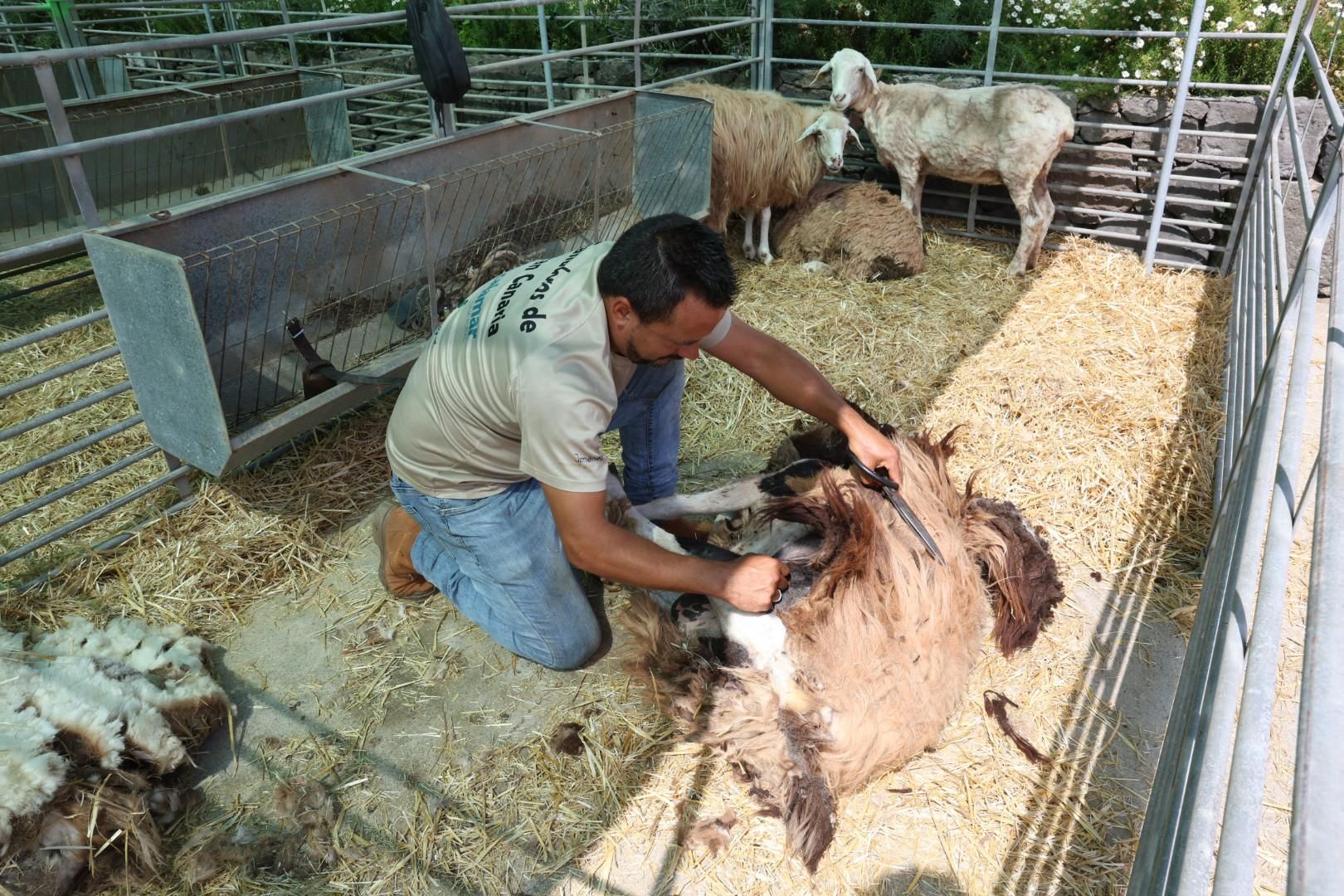 El sector primario se abre a los niños