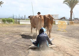 El sector primario se abre a los niños