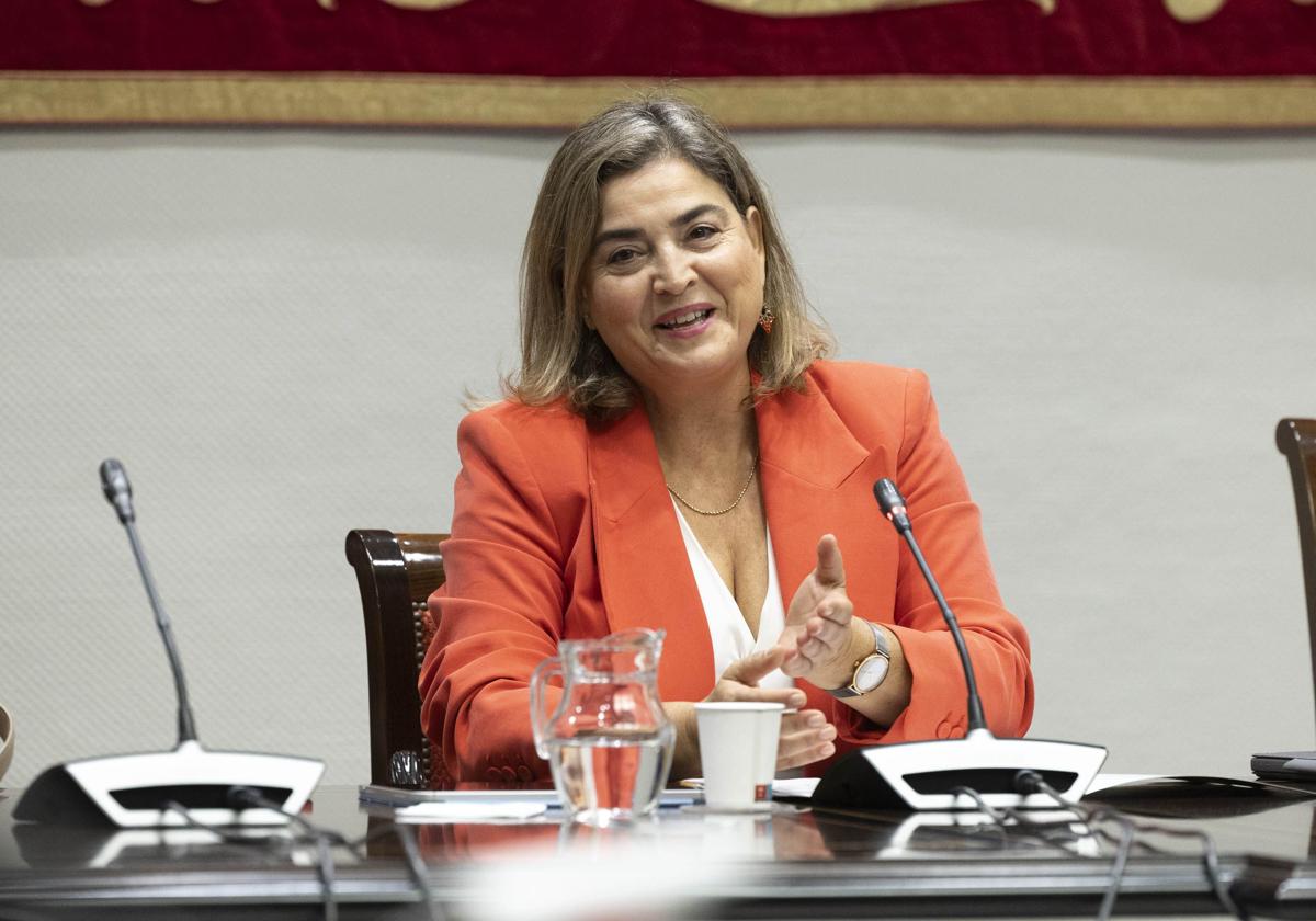 María Méndez, administradora de Radio Televisión Canaria (RTVC).