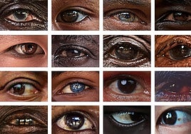 Retratos oculares de diferentes personas.