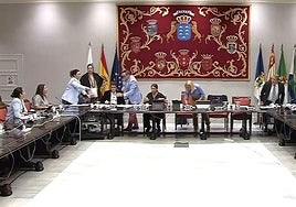 La consejera de Bienestar Social del Gobierno canario, Candelaria Delgado, tuvo que ser atendida en medio de la comisión parlamentaria.