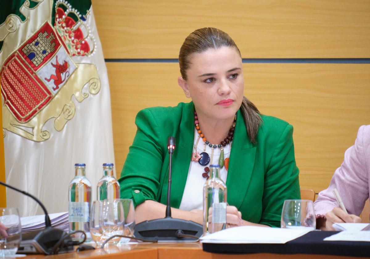 Nuria Cabrera, consejera de Promoción Económica del Cabildo majorero.