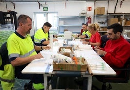 Trabajadores realizando labores para Binter en el centro de Carrizal.