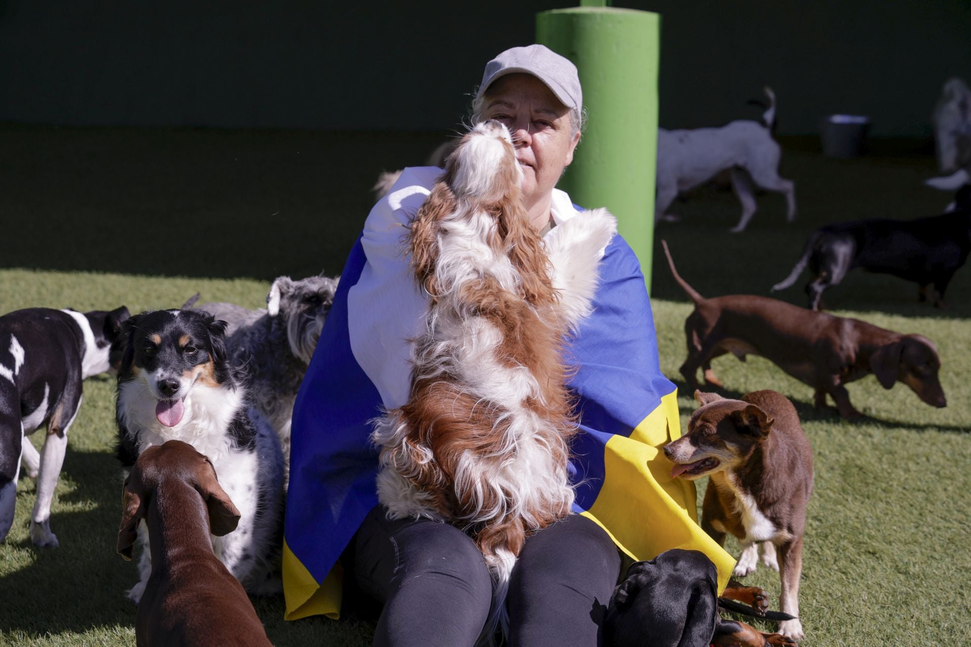 Wendy, en su nueva Casona, rodeada de perros.