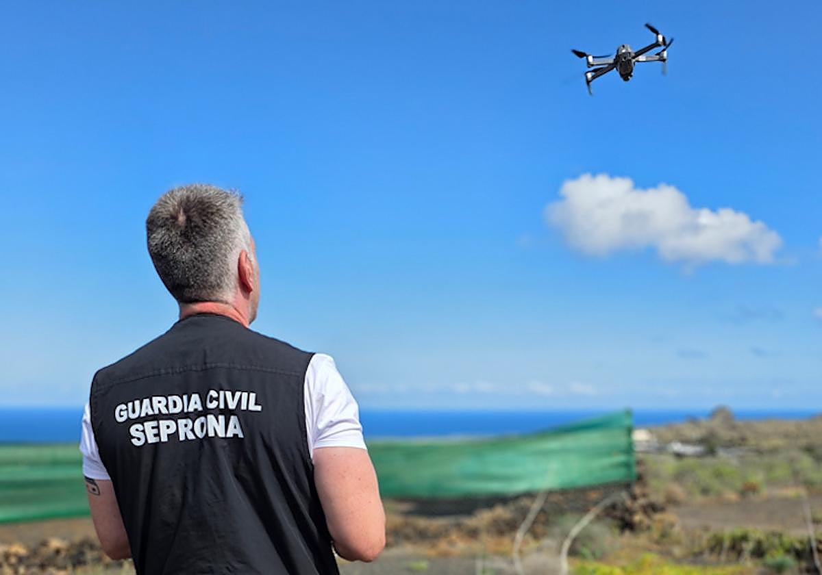 Actuación de la Guardia Civil.