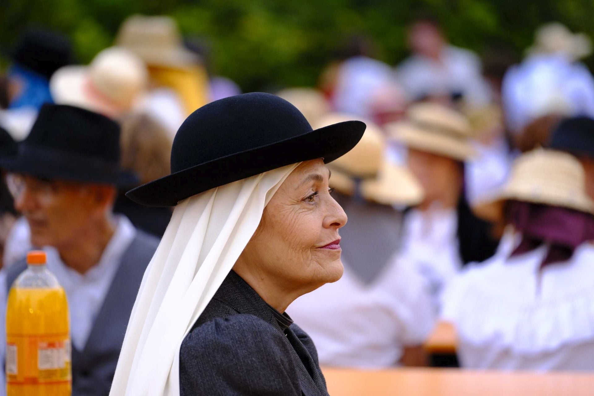 El segundo Baile de Taifas de Schamann, en imágenes