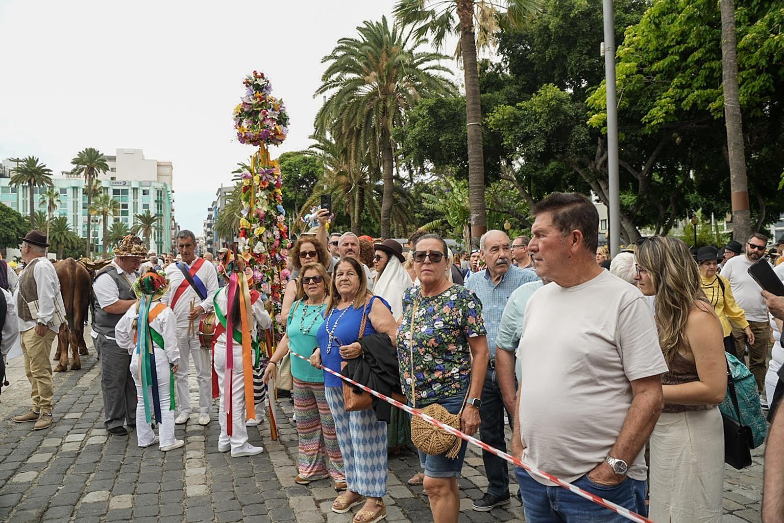 El Paseo Romero llena de tradición el itsmo