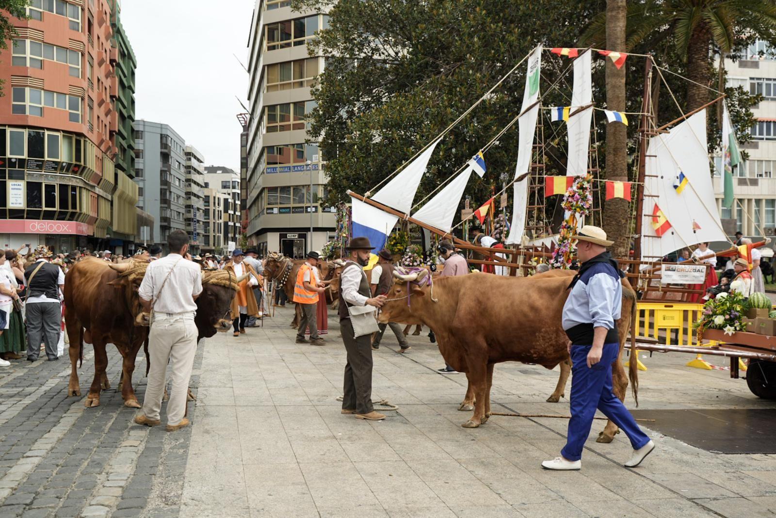 El Paseo Romero llena de tradición el itsmo