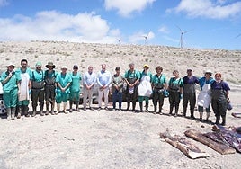 Equipos del IUSA de la ULPGC y del de Datos Biológicos de Cetáceos Varados en las Islas Occidentales que intervino en la necropsia del cachalote hallado muerto en Fasnia, Tenerife.