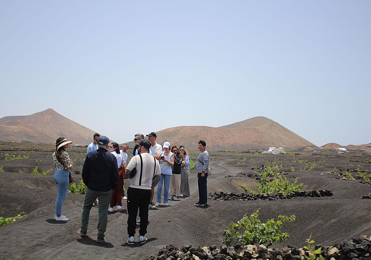 Imagen principal - Alta gastronomía en los 250 años de Bodegas El Grifo