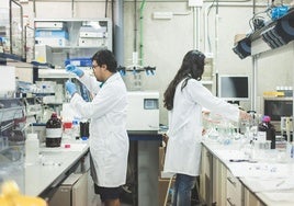 La ULPGC oferta cinco nuevos másters universitarios para el curso 2025-2026