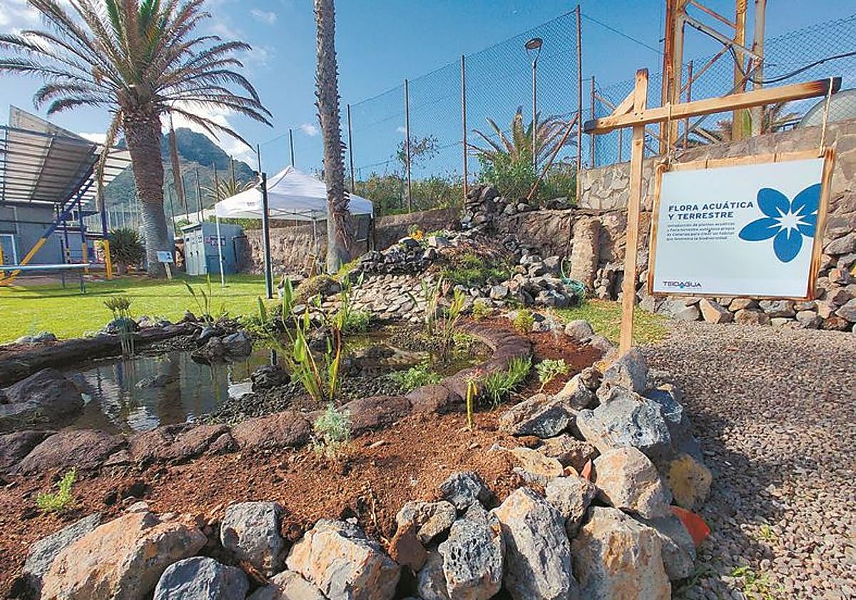 Imagen principal - Aprender de la naturaleza para enfrentar el desafío climático