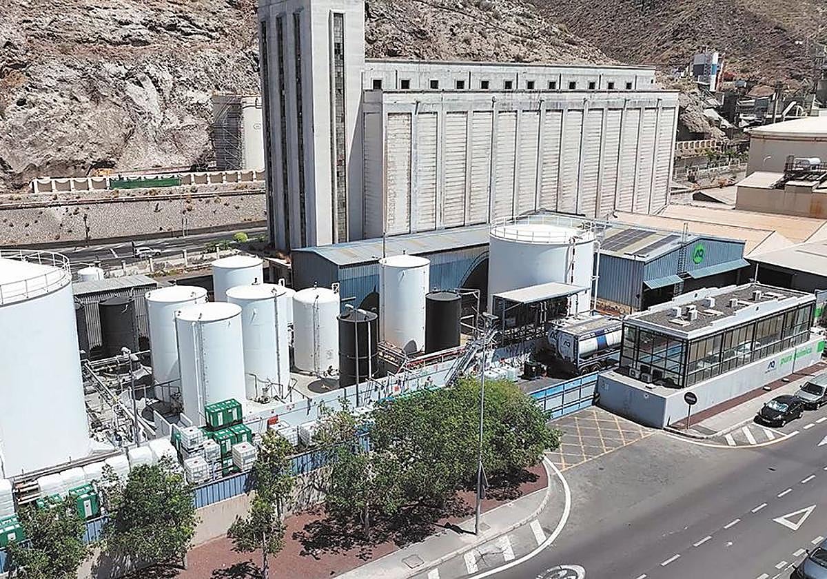 Cultura ambiental que deja huella verde