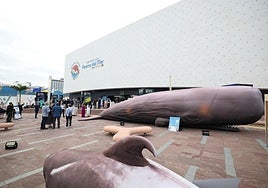 Poema del mar celebra el Día de los Océanos