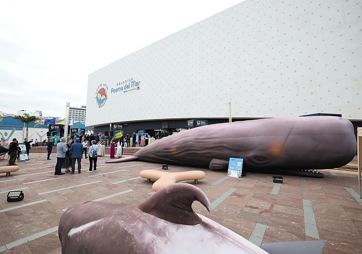 Poema del mar celebra el Día de los Océanos