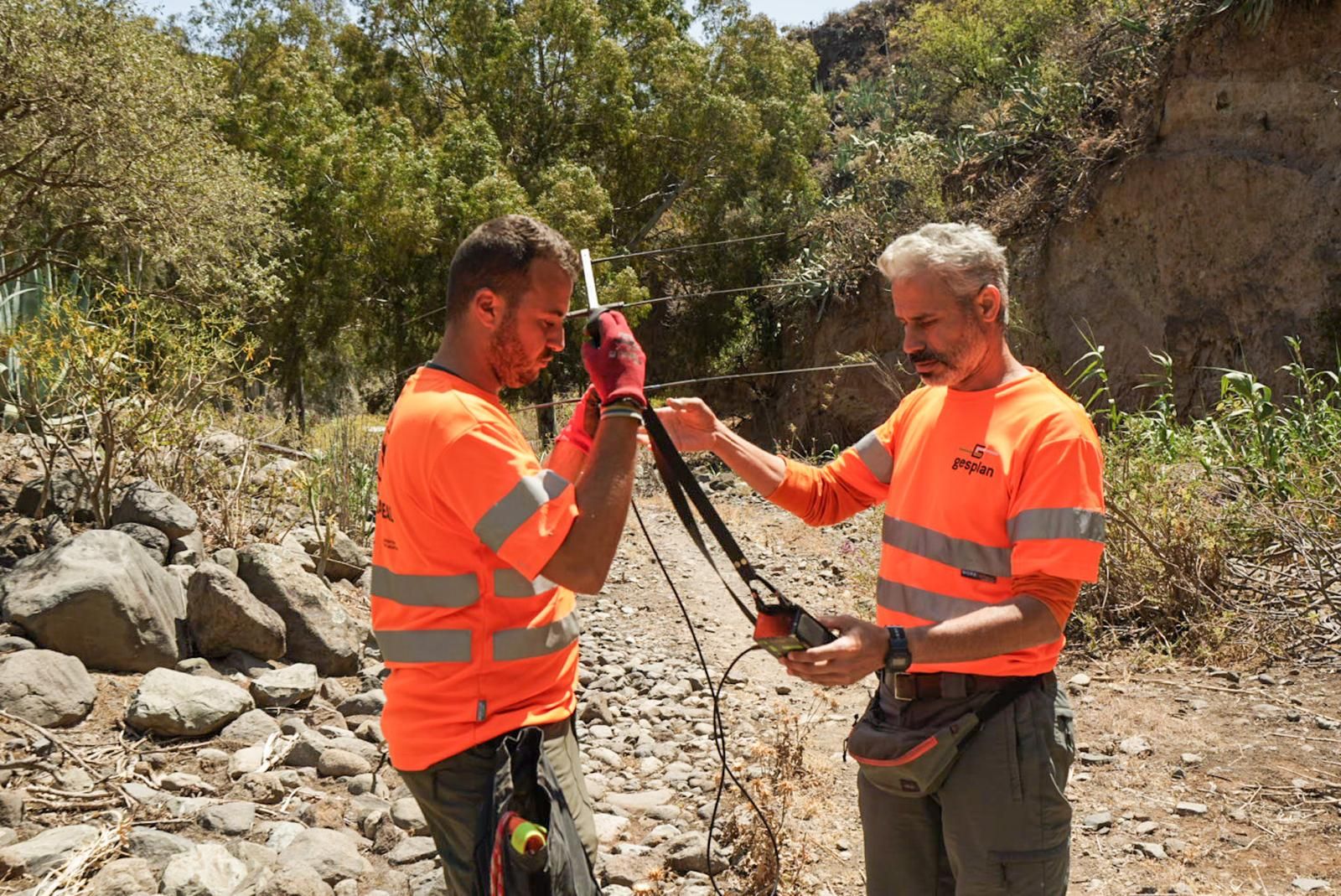 Así entrenan a los perros de Gesplan para encontrar serpientes invasoras en Gran Canaria