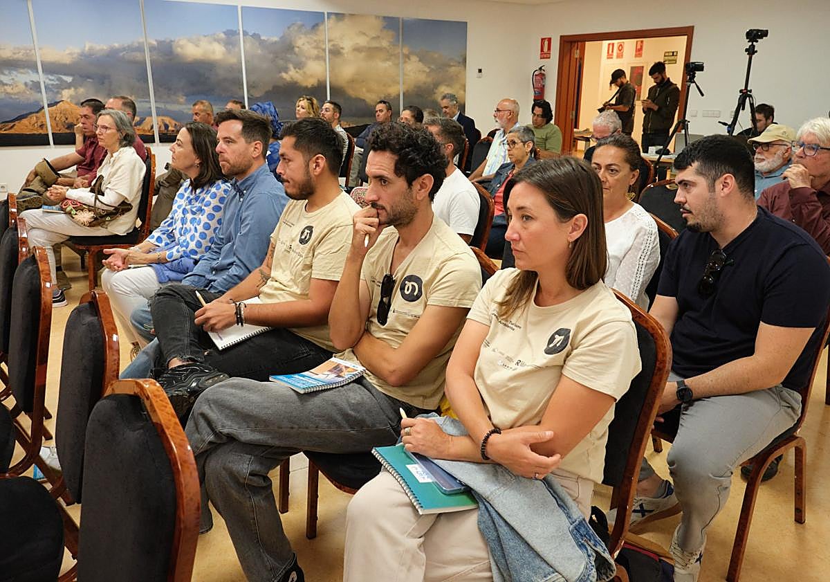 Imagen principal - El turista «no dejaría de visitar» Canarias aunque pagara una ecotasa