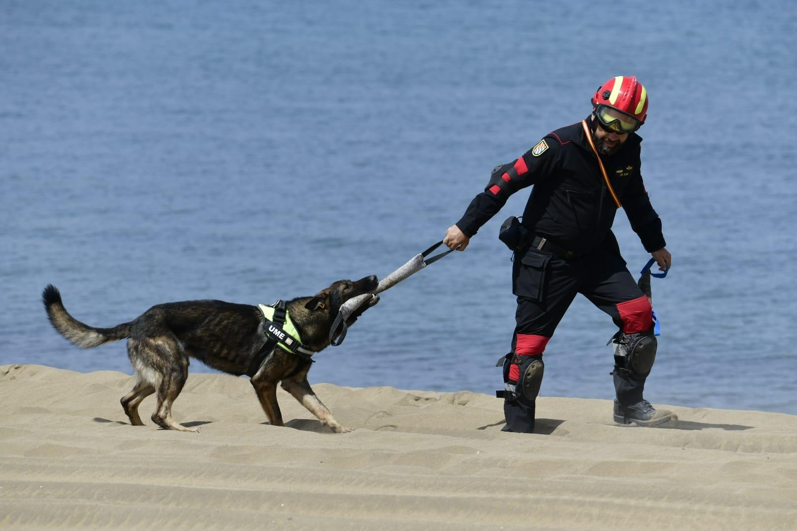 Uniformes y trajes de gala: Día de Las Fuerzas Armadas en Las Palmas de Gran Canaria