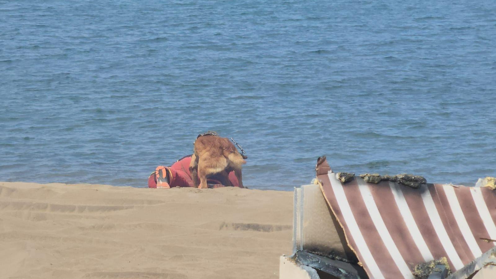 Uniformes y trajes de gala: Día de Las Fuerzas Armadas en Las Palmas de Gran Canaria