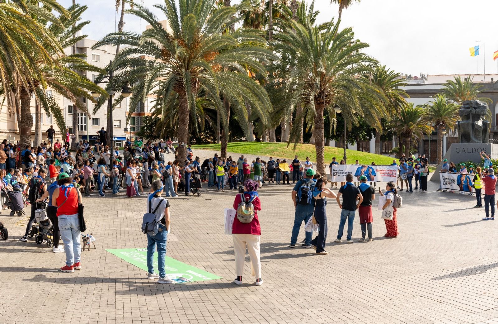 La protesta de los veterinarios en Las Palmas de Gran Canaria, en imágenes