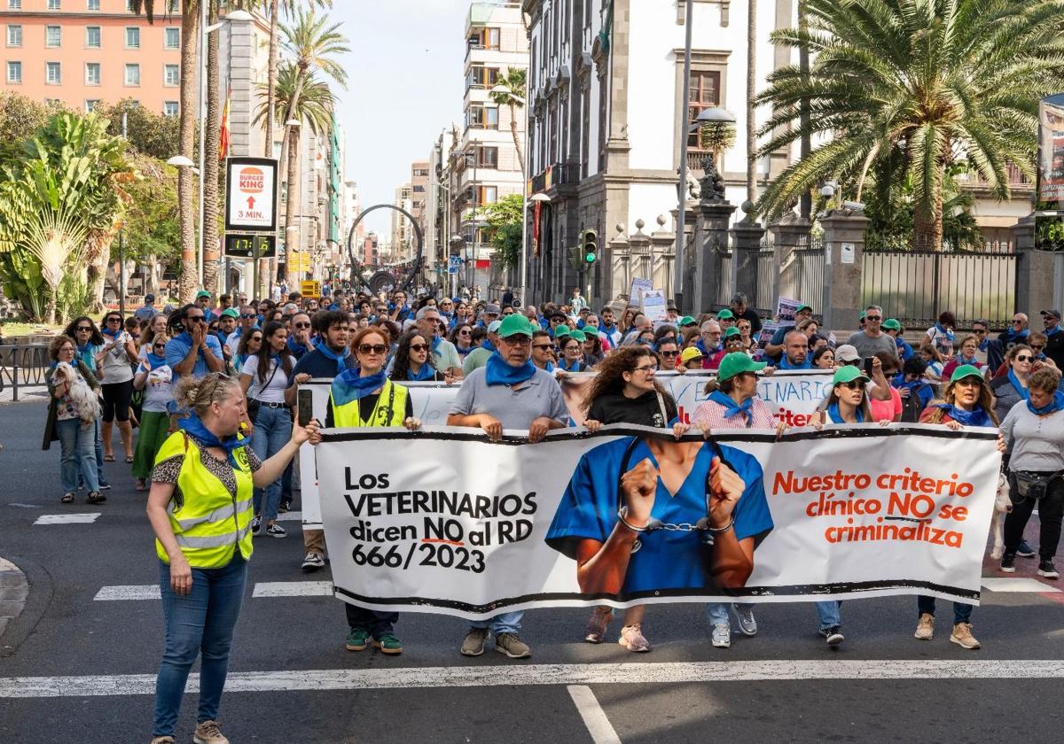 Los veterinarios, de nuevo en la calle para defender su autoridad clínica