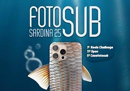 Imagen del cartel de este FotoSub Sardina 2025.