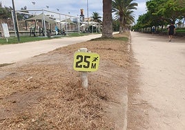 Nace el 'parque Marrano'