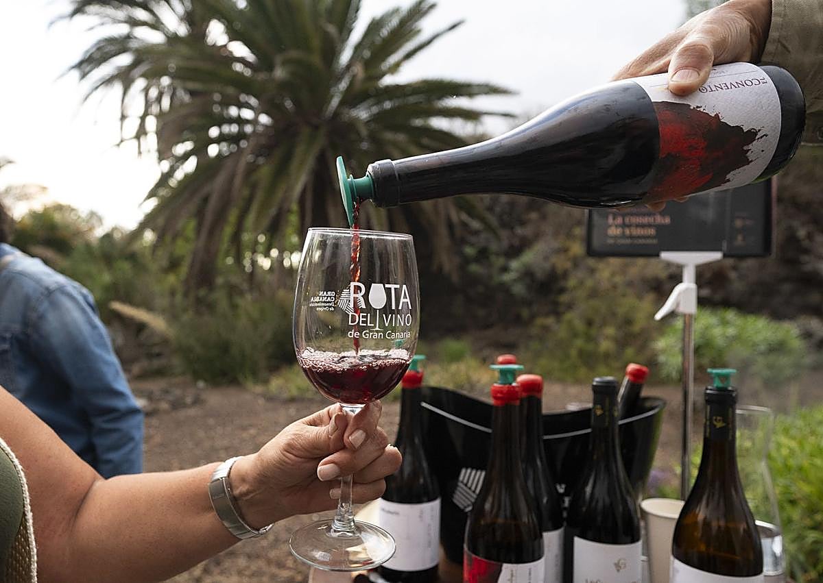 Imagen secundaria 1 - Distintos momentos del acto de descorche de los vinos de la vendimia de 2024. 