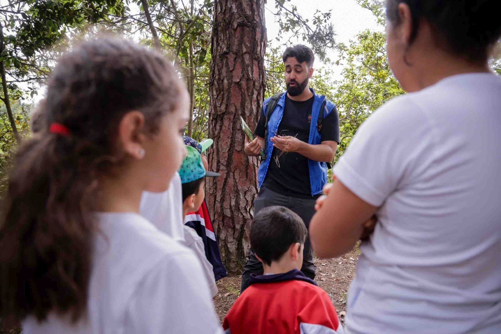 Imágenes del proyecto Brinzal elaborado por el alumnado de Canarias