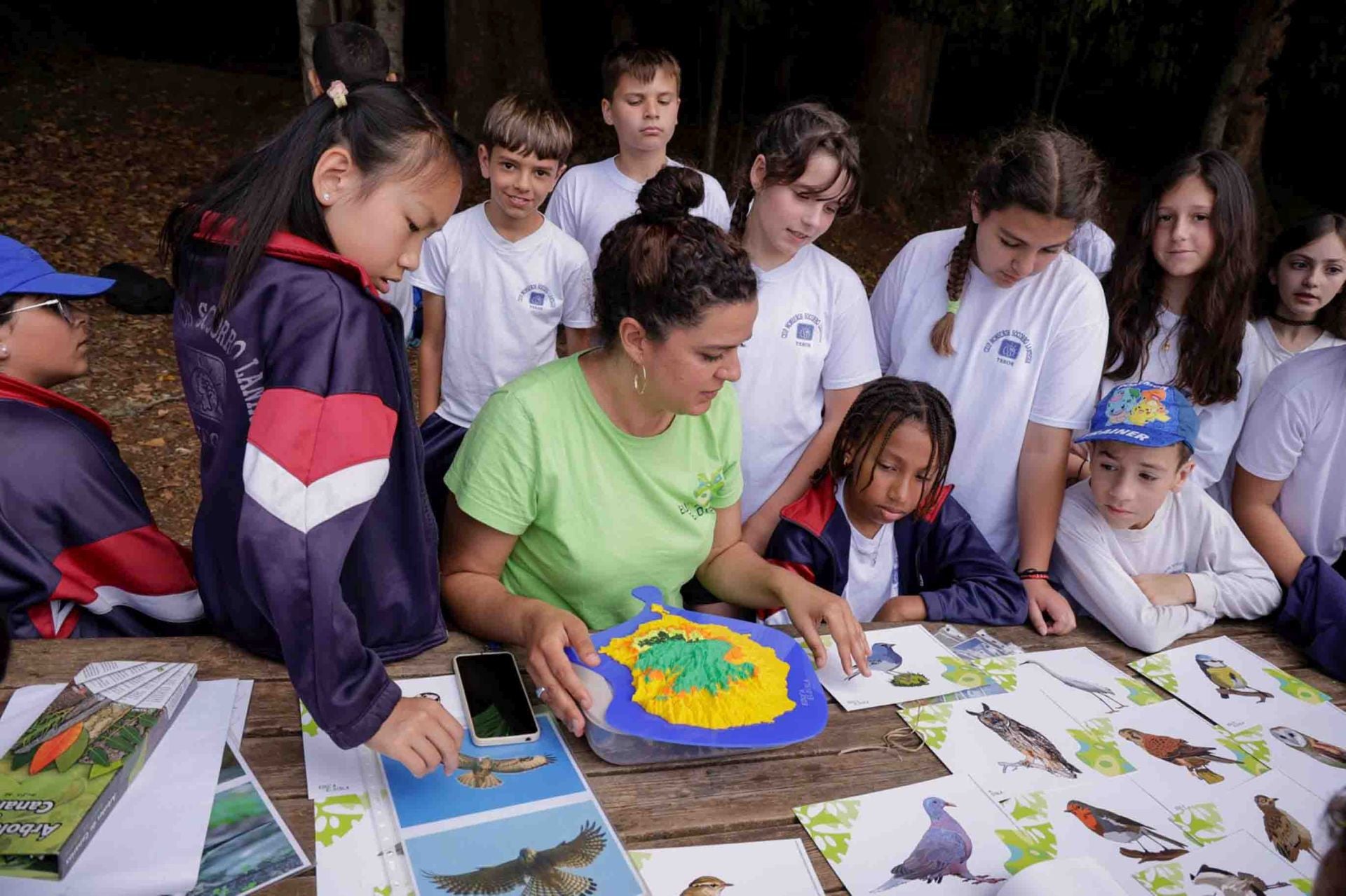 Imágenes del proyecto Brinzal elaborado por el alumnado de Canarias